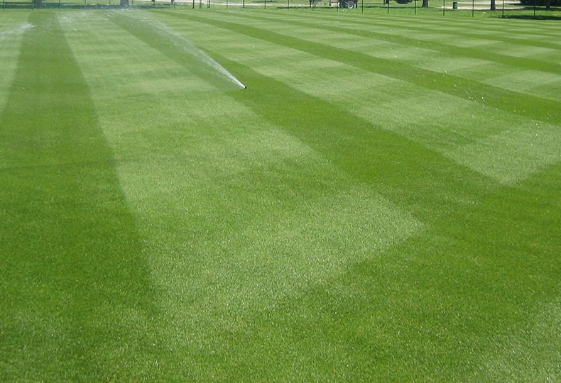 Freeman Athletic Fields
