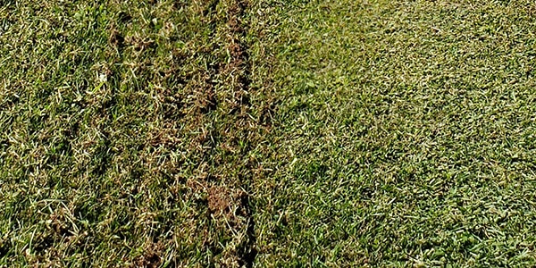 Verticutting